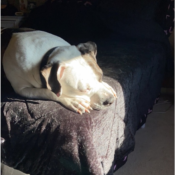 Meet your Posher, Brittney - Picture 6 of 16